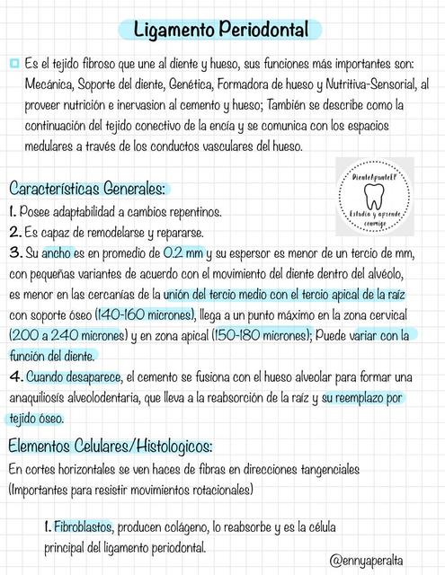 Ligamento Periodontal