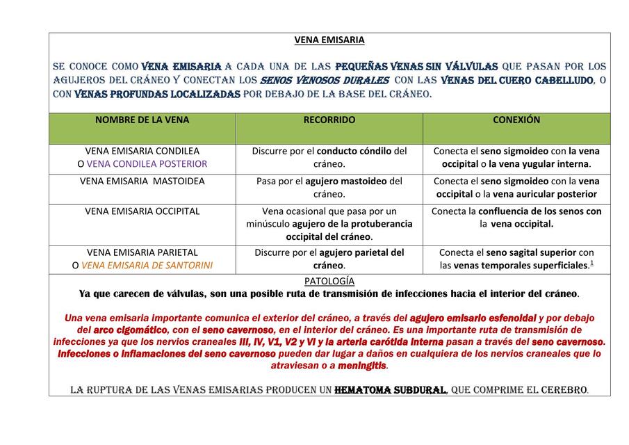 Vena Emisaria Chemcoderobsidian Udocz