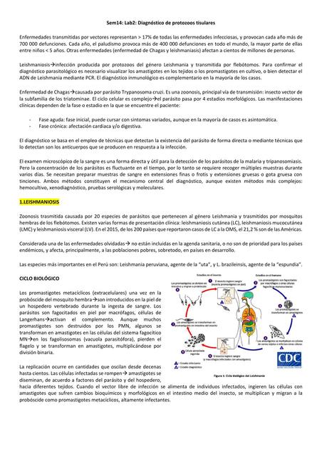 Diagnóstico de protozoos tisulares