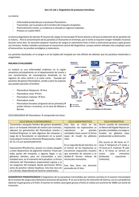 Diagnóstico de protozoos hemáticos