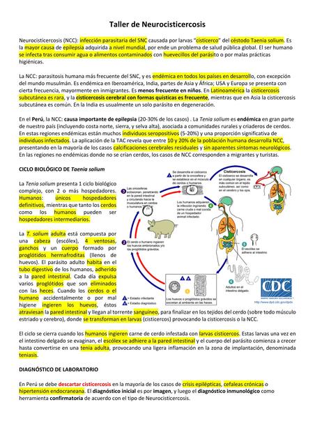 Neurocisticercosis 