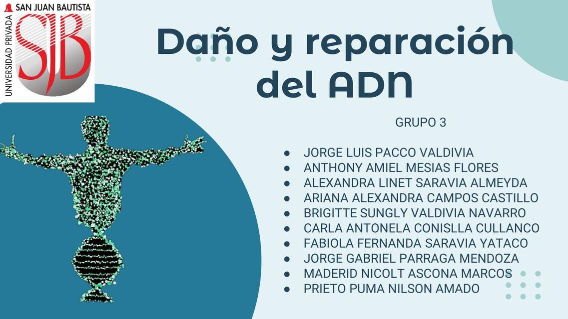 Daño y reparación de ADN