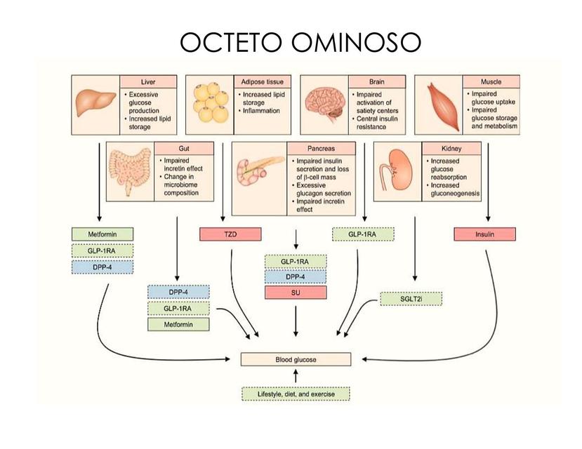 Octeto Ominoso DOCTORINE uDocz