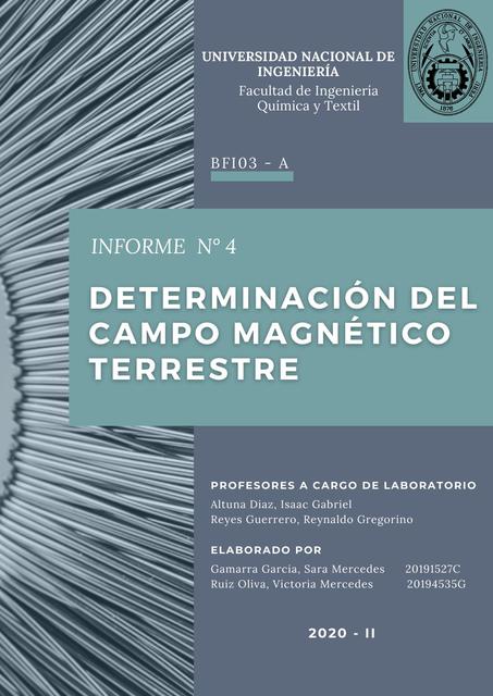 Informe Determinación del Campo Terrestre