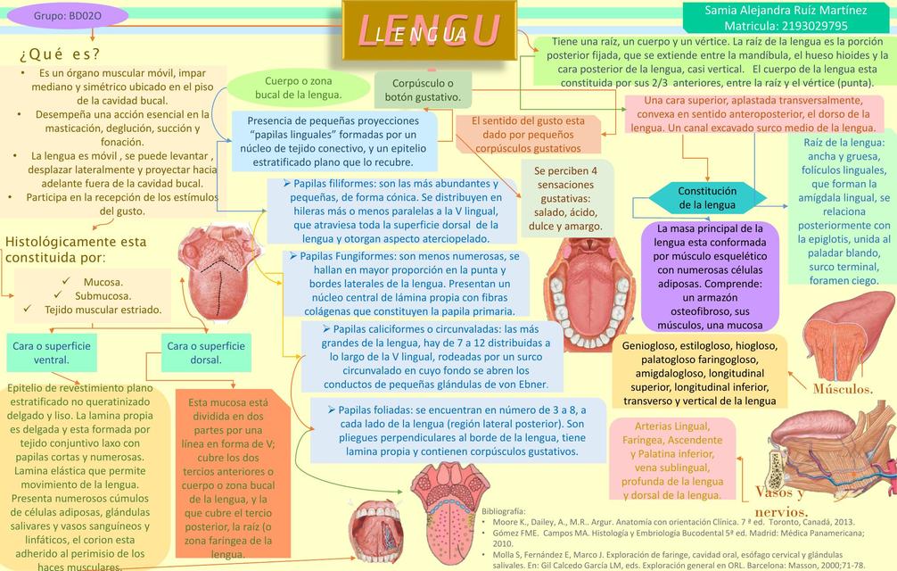 Lengua