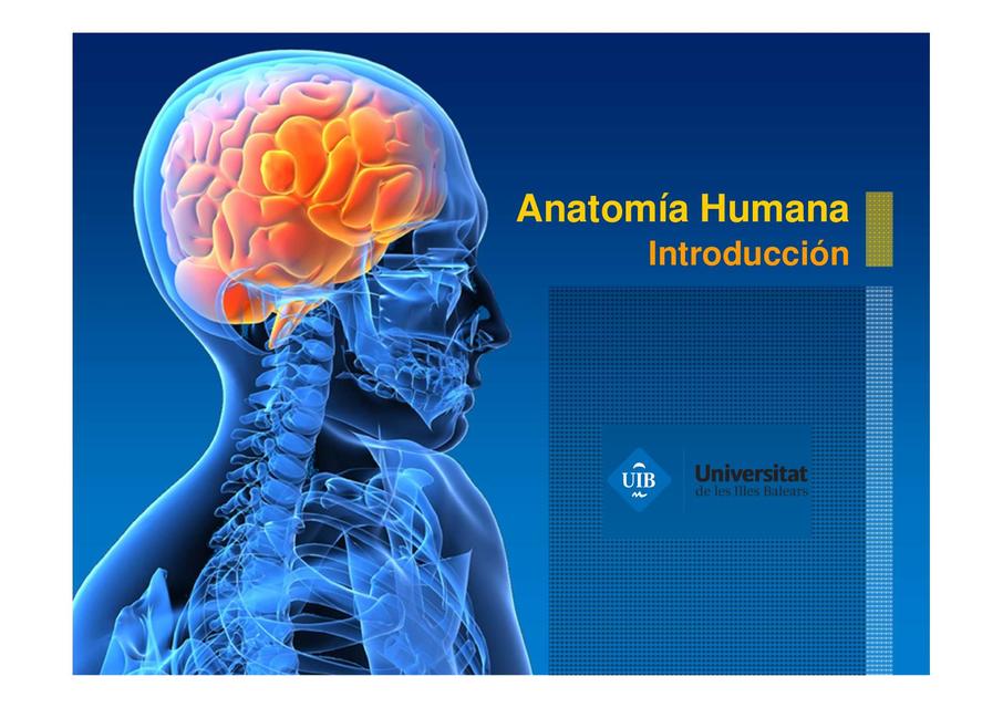 Anatomía Humana