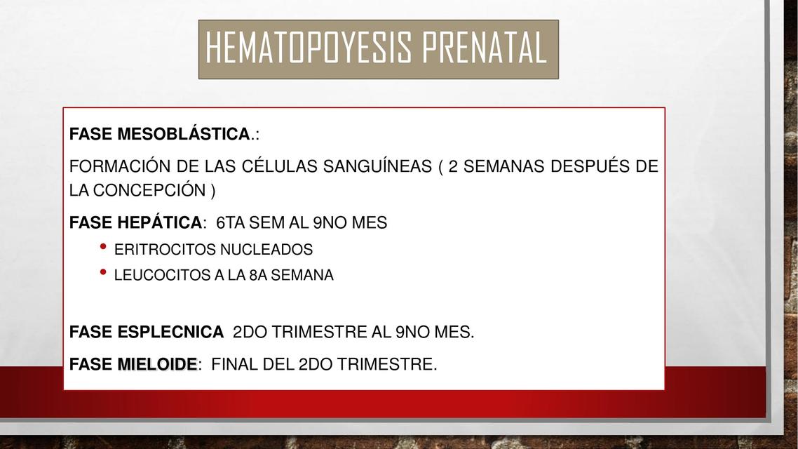 Hematopoyesis 