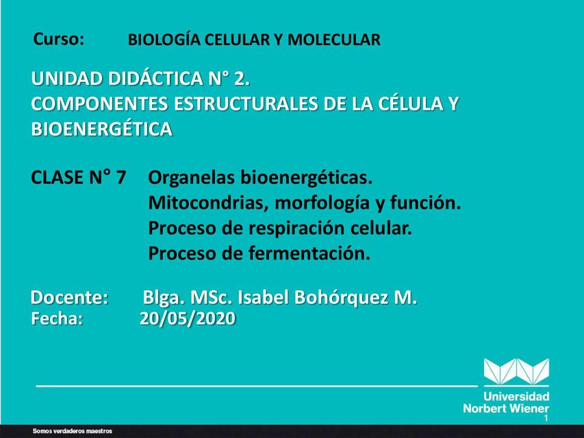 BIOLOGIA CELULAR Y MOLECULAR | uDocz