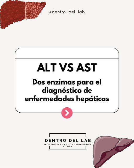 AST vs ALT | Dentro del lab 🔬🩵 | uDocz