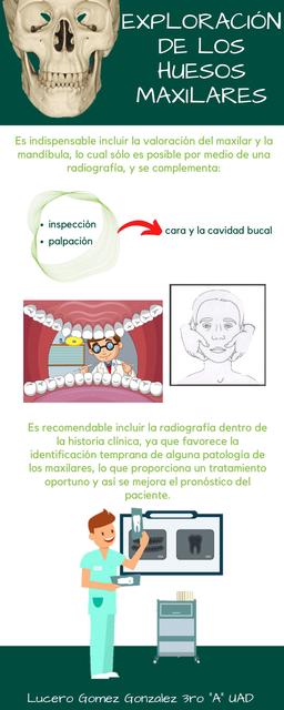 Exploración de los Huesos Maxilares