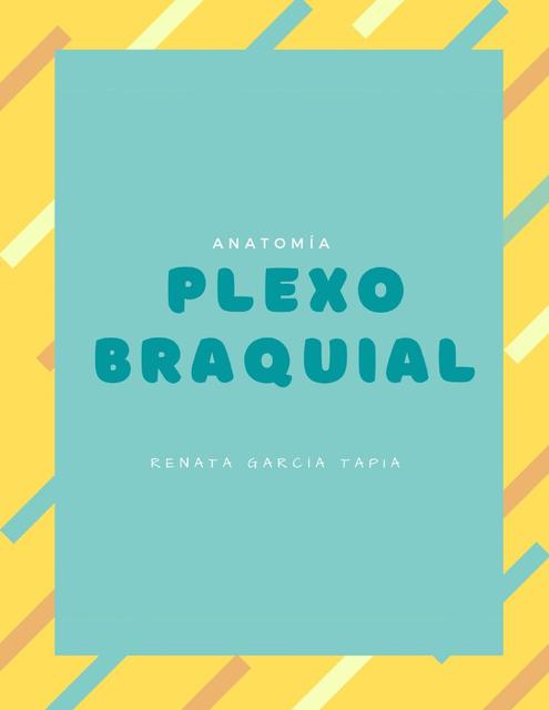 Plexo Braquial