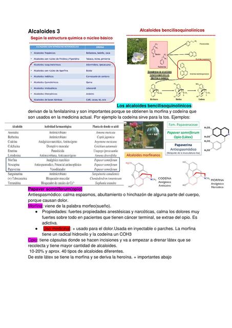 Alcaloides 