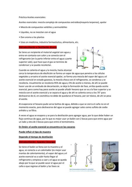 Práctica Aceites esenciales: