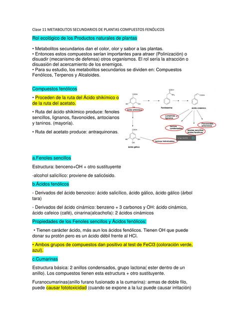 Metabolitos Secundarios de Plantas Compuestos Fenólicos