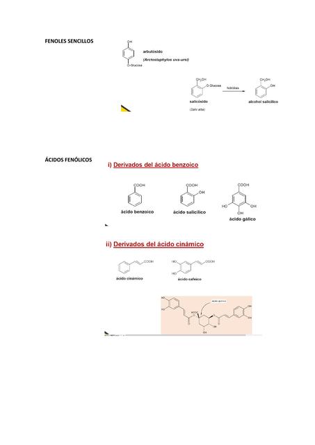 Fenoles Sencillos