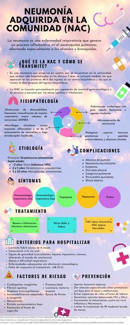 Neumonia Adquirida En La Comunidad Salud Apuntes De Medicina Udocz