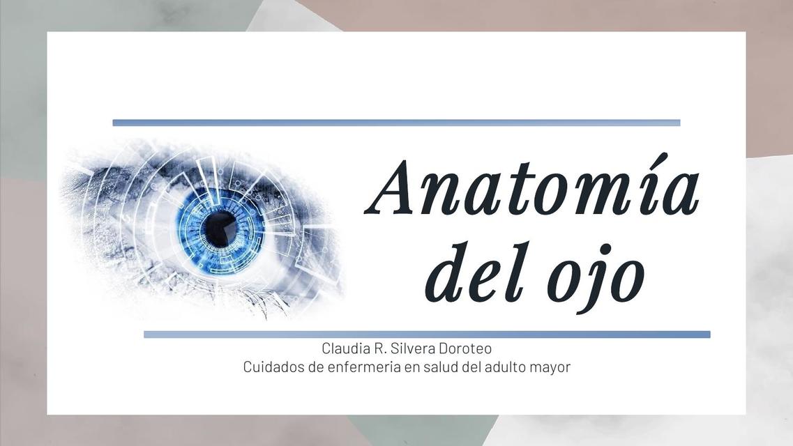 Anatomía del Ojo