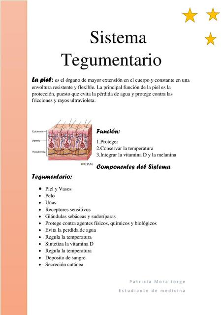 Sistema Tegumentario 