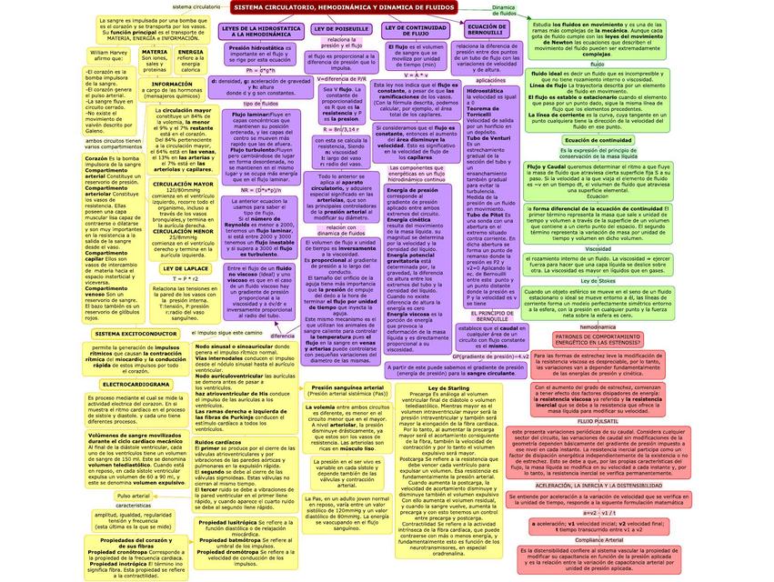 Sistema Circulatorio Hemodinámica y Dinámica Fluidos