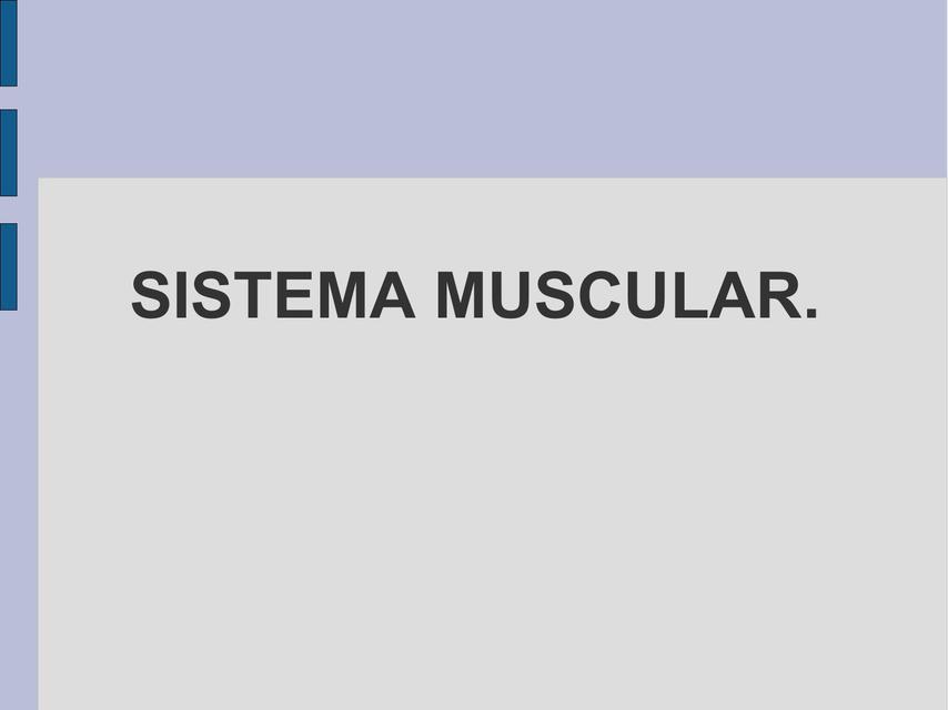 Sistema Muscular Embriología