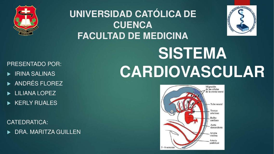 Sistema Cardiovascular 