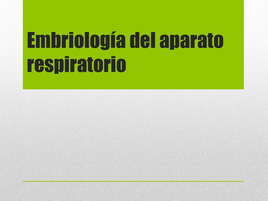 Embriología del Aparato Respiratorio 