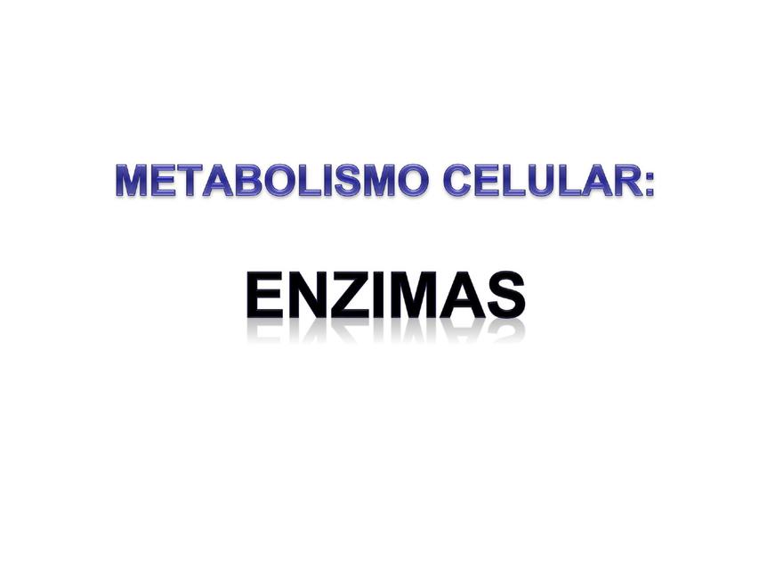 Metabolismo Celular Enzimas