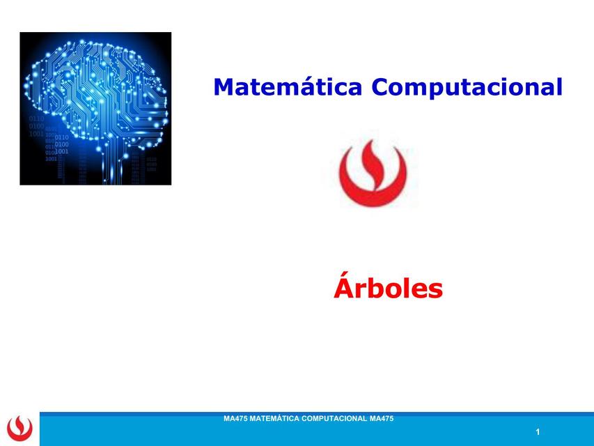 Teoría De Grafos: Arboles