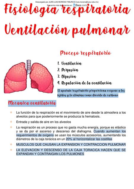 Ventilación Pulmonar 