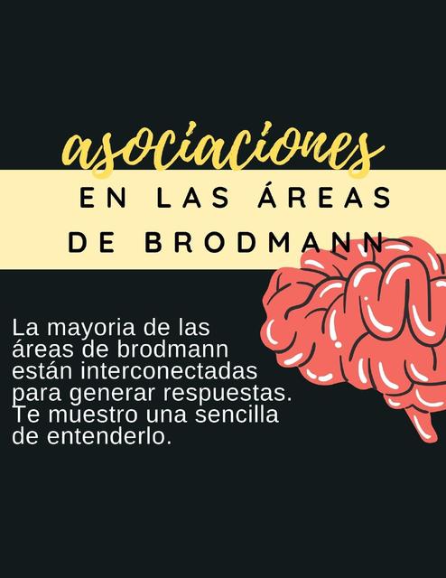 Áreas de Brodmann y sus asociaciones