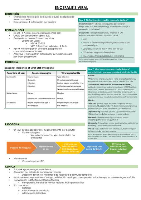 Encefalitis Viral