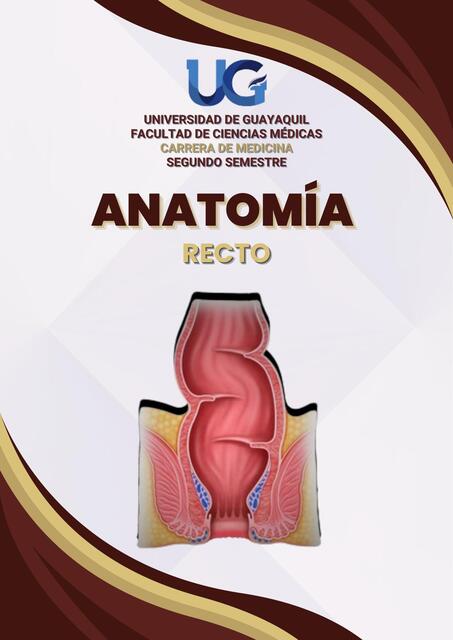 RECTO | Bellakos.Med | uDocz