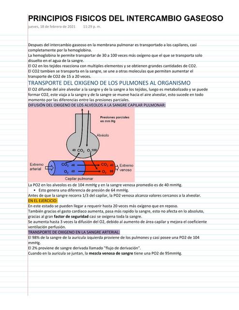 PRINCIPIOS FISICOS DEL INTERCAMBIO GASEOSO