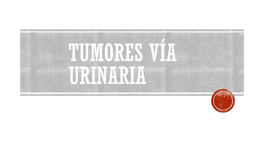 Tumores Vía Urinaria