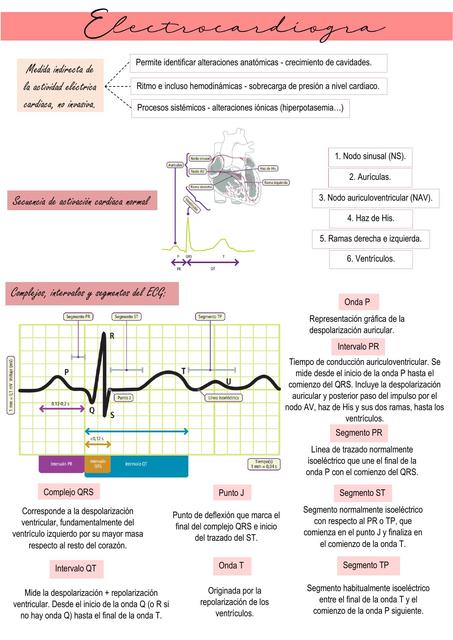 EKG 