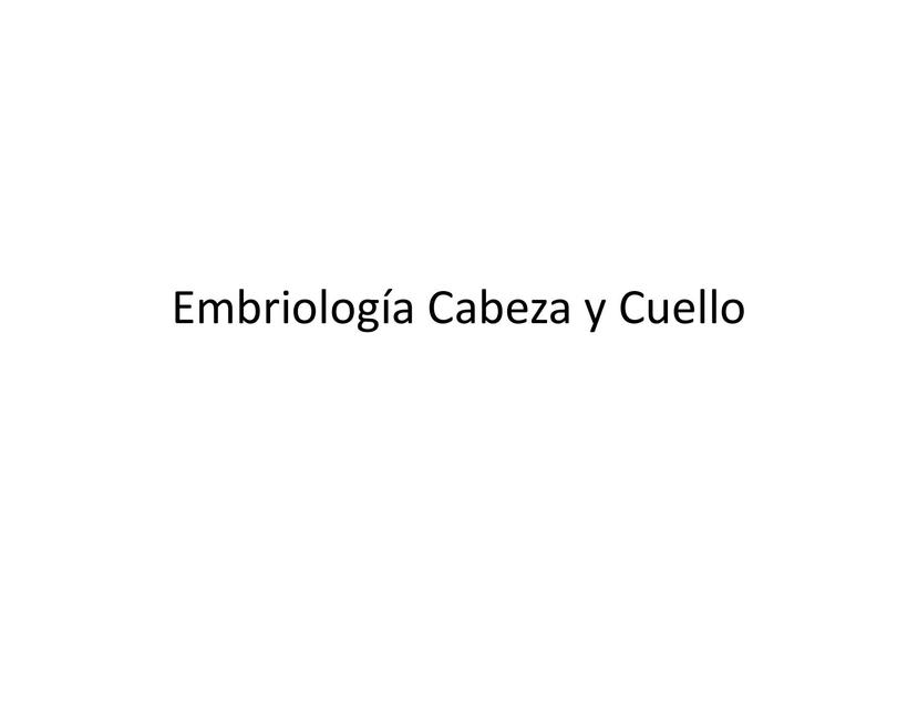 Embriología cabeza y cuello