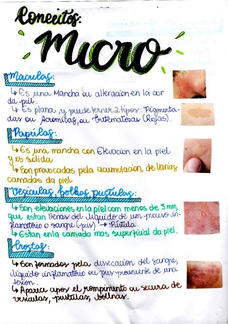 Conceitos de microbiología