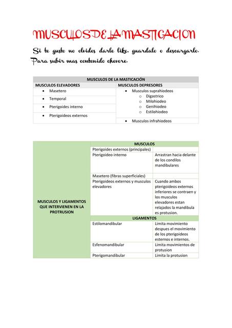 Musculos y Ligamentos