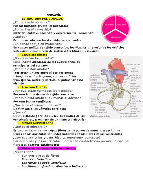 Corazón II