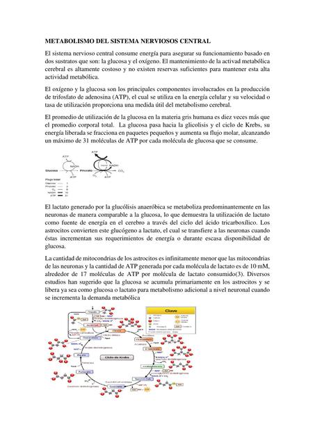 Metabolismo de Sistema Nerviosos Central