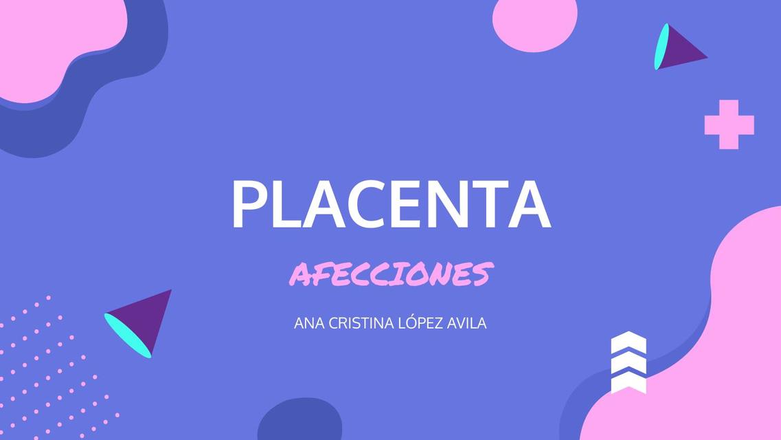 Placenta