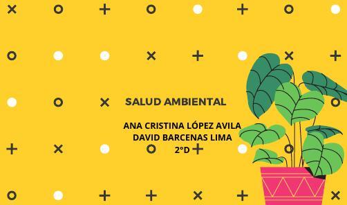 Salud Ambiental