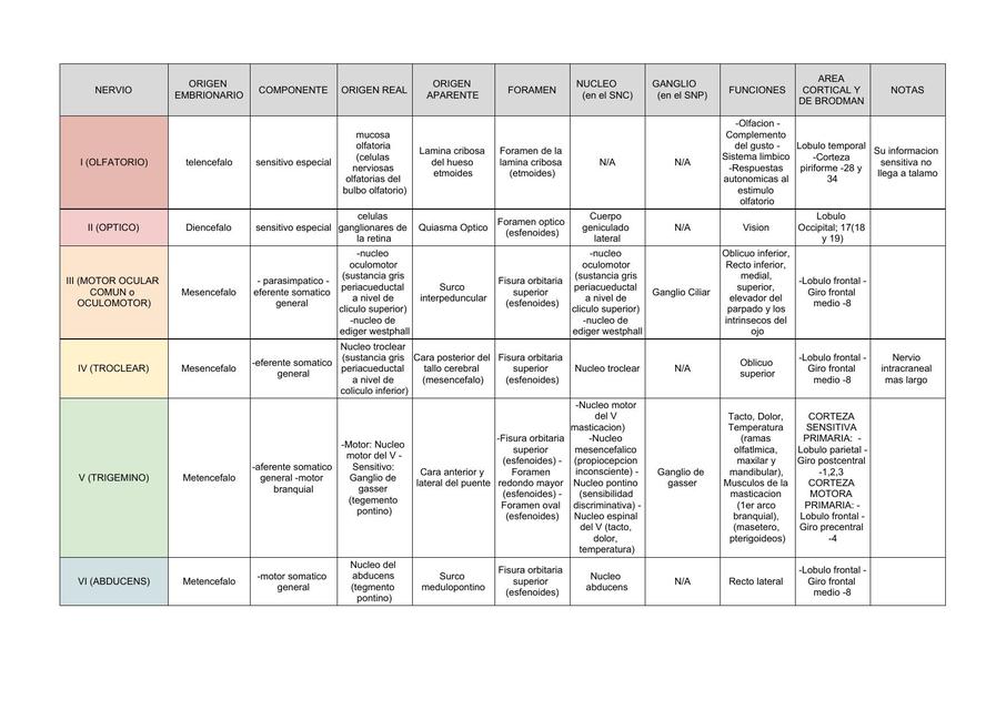 Nervios Craneales