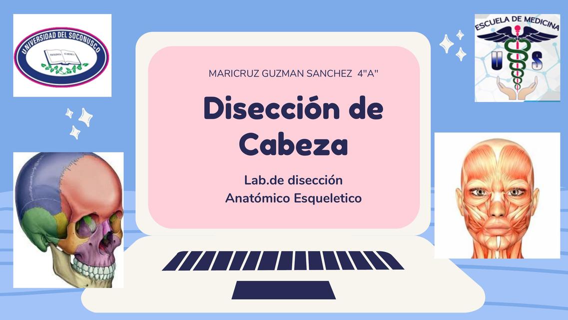 Disección de Cabeza