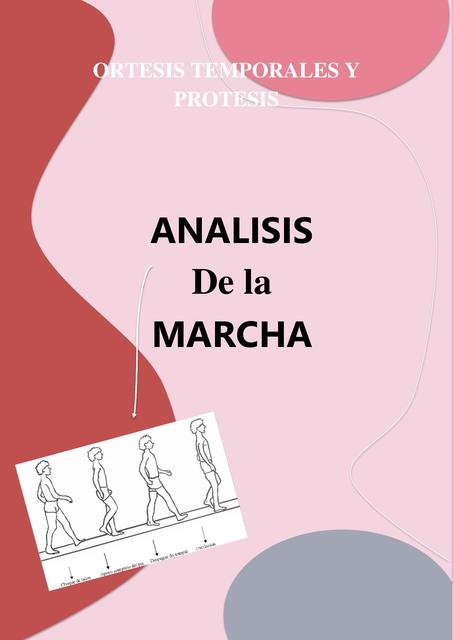 Resumen Análisis de la marcha según Jacqueline Perry