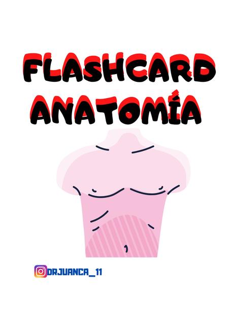 FLASHCARDS ANATOMÍA CABEZA Y CUELLO