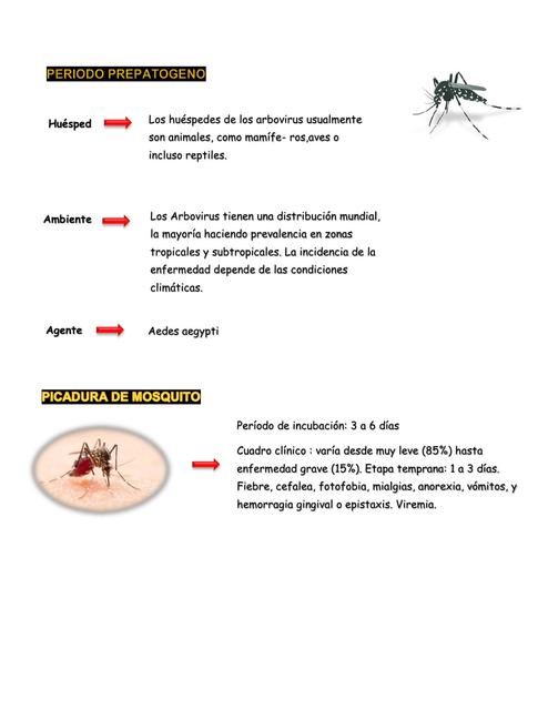 Epidemiologia arenovirosis