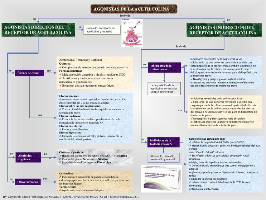 Agonistas de la Acetilcolina