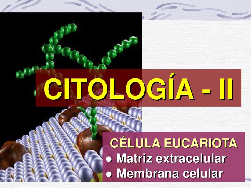 Citología 