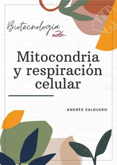 Mitocondria y Respiración Celular 